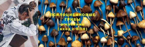 ешки Абдулино