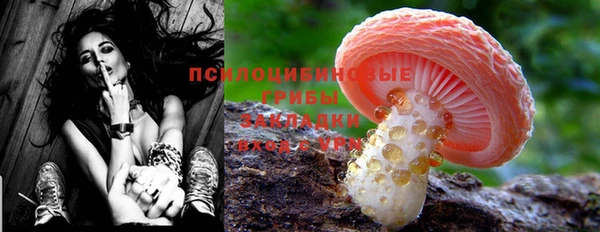 синтетический гашиш Абинск